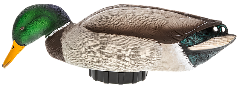 Avian X Power Shaker Mallard Drake Surface Feeder Decoy, Multi-Color - AVXPSHMDSF