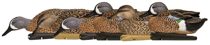 Avian-X Topflight Blue-Winged Teal Decoys, Multi-Color - 6 Pack - AVXAVX8080