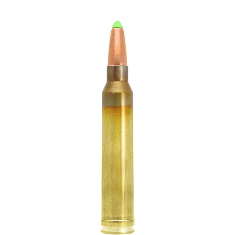 Lapua .300 Win Mag 170gr Naturalis Solid Rifle Ammunition 10/ct - N317204