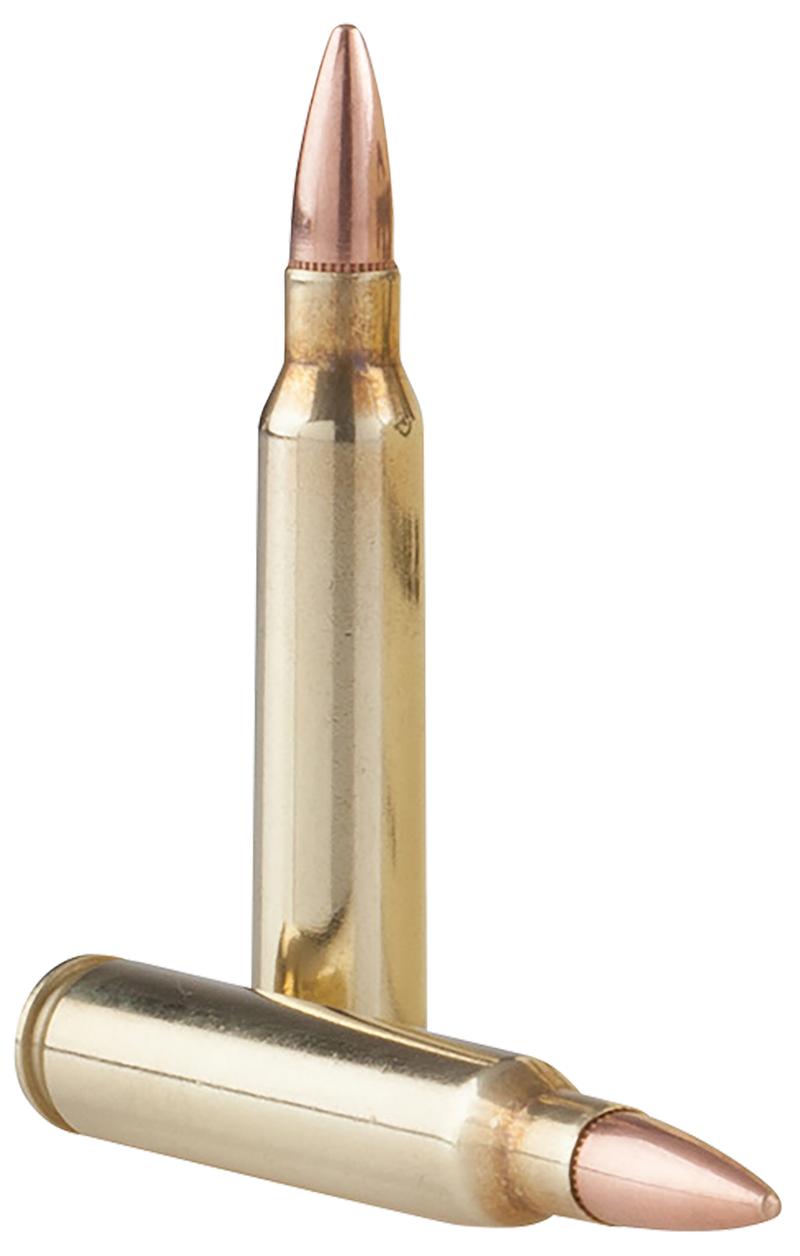 TR&Z Range Master 5.56x45mm NATO 55 gr Full Metal Jacket Boat Tail Rifle Ammo, 125 Per Box - PPRM5561P