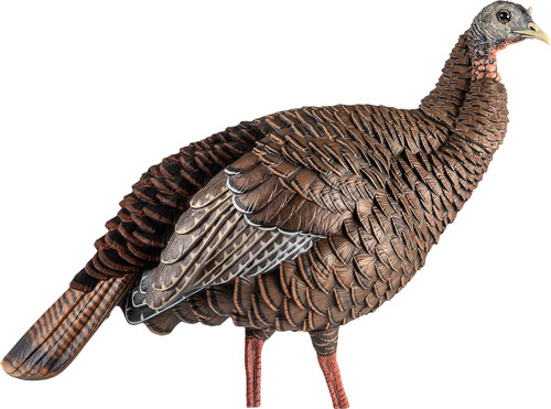 Avian X HDR Hen Turkey Decoy, Multi-Color - AVXAVX8106