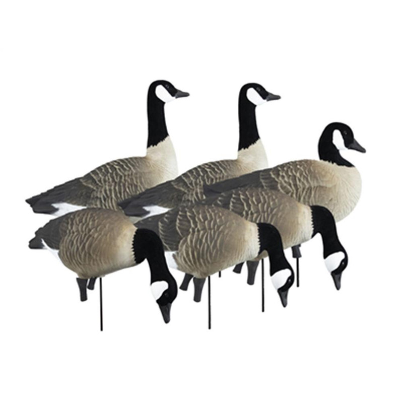 Higdon Outdoors Apex Full-Size Full-Body Canada Goose Decoy Variety Pack - 72237