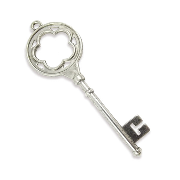 Large silver colour flower key