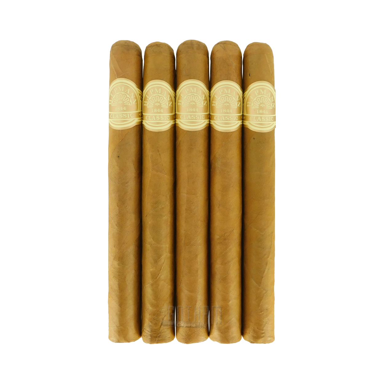 H. Upmann 1844 Classic Churchill | Smooth & Balanced