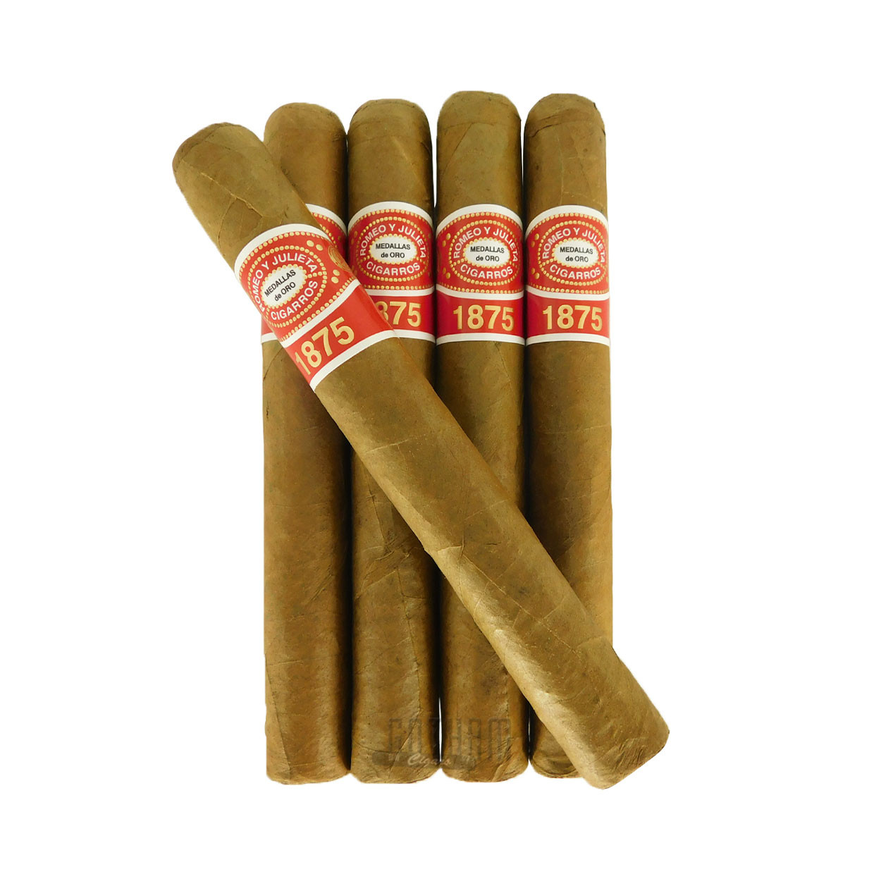 MedusaBoyRomeo/Romeo2/Juliet 3本セット Romeo Y Julieta 1875 Exhibicion #3 | Gotham Cigars