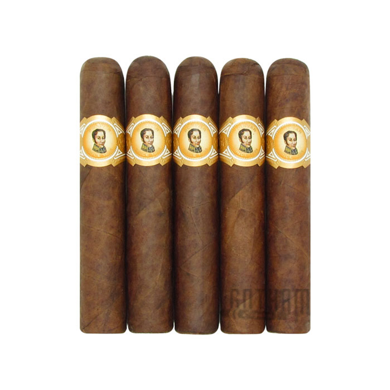 Bolivar Cofradia No. 554 | Gotham Cigars