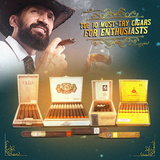 Top 10 Must-Try Cigars for Enthusiasts