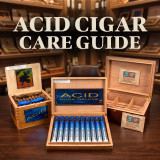 ACID and Infused Cigars: The Complete Guide to Selection, Storage, and Maintenance