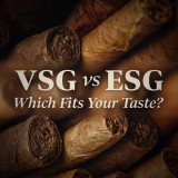 Ashton VSG vs Ashton ESG: Which One Fits Your Taste?