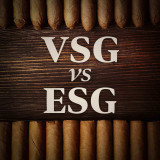 Ashton VSG vs ESG: Key Differences for Smokers
