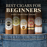 Best Cigars for Beginners 2026: The Ultimate Guide to Your First Smoke