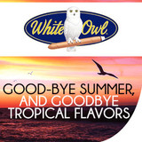 Good-bye Summer, and Goodbye Tropical Flavors