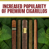 ​Increased Popularity of Premium Cigarillos