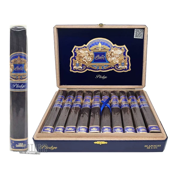 Casa Carrillo Pledge Apogee