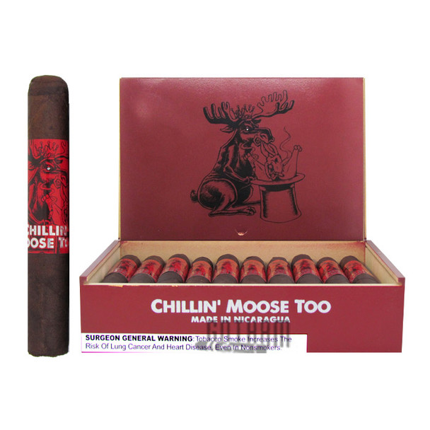 Chillin Moose Too Robusto open box and stick