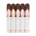 Rocky Patel ALR 2nd Edition 6 x 60 five pack