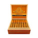 Perdomo Reserve Champagne 10th Anniversary Epicure Open Box