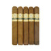 Perla Del Mar Shade Toro five pack