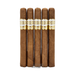 Villiger Selecto Churchill 5-Pack