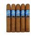 Acid Blue Kuba Kuba five pack