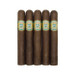 601 Green Label Oscuro Trabuco Five Pack