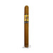 Acid Yellow Cold Infusion - Single Stick