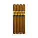 Acid Yellow Cold Infusion - 4 Pack