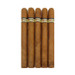 Cohiba Churchill 5 Packs