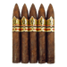 CAO Gold Maduro Torpedo 5 Pack