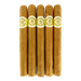 Macanudo Hampton Court 5 Pack
