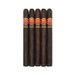 Punch After Dinner Maduro Five Pack
