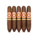 Arturo Fuente Hemingway Short Story  Five Pack