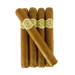 Macanudo Hyde Park 5 Pack with stick