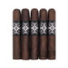 Hoyo de Monterrey Black Box Robusto Five Pack