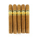  Don Tomas Clasico Robusto 5 pack