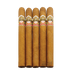 Ashton Cabinet No. 8 Five Pack