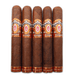 Alec Bradley Tempus Nicaragua Magnus 5 Pack