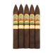 San Lotano Requiem San Andres Torpedo 5 Pack