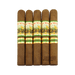New World Cameroon Doble Robusto 5 Pack