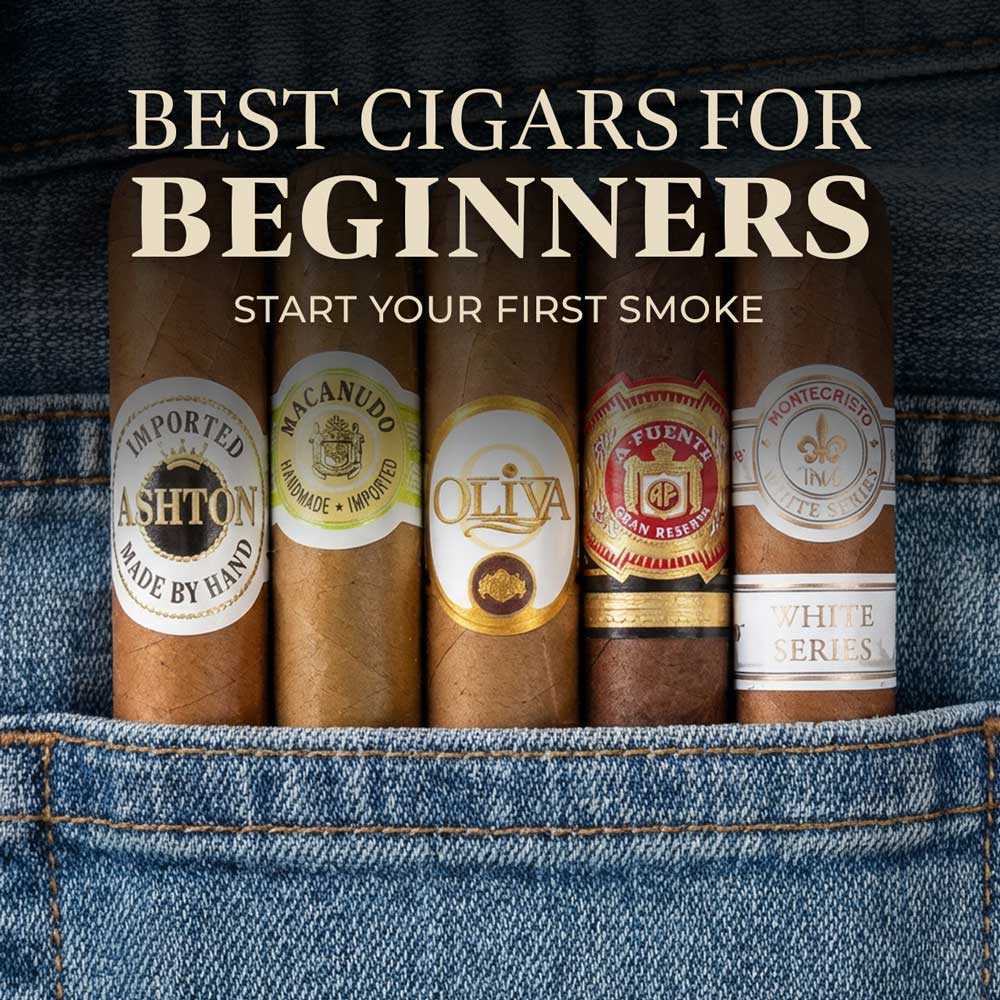 best cigarette to smoke for beginners Best Cigars for Beginners 2026: The Ultimate Guide to Your First Smoke