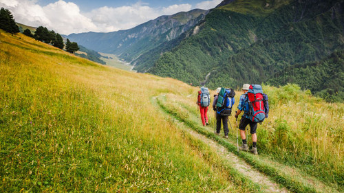 Navigating Chafing Legs and Sticky Bodies: Hiking Through Forest Trails