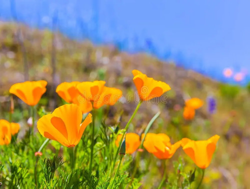 Spring is Coming: How to Prevent Chafing as the Weather Warms Up