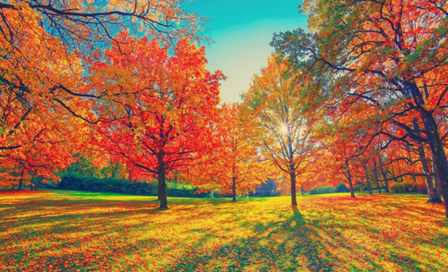 Autumn in Australia Is Still Hot — Don’t Forget Your Chafing Protection