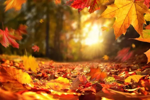 Autumn Chafing: Can You Still Get Chafing in Cooler Weather?