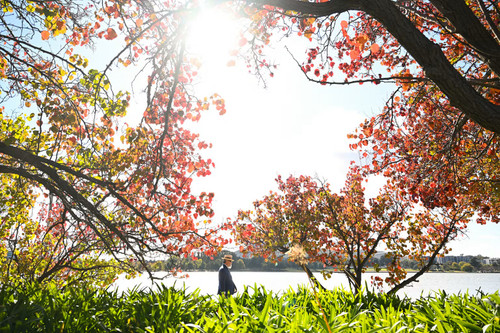 Spring Is Heating Up in Australia: Prevent Leg Chafing with Anti-Chafing Underwear