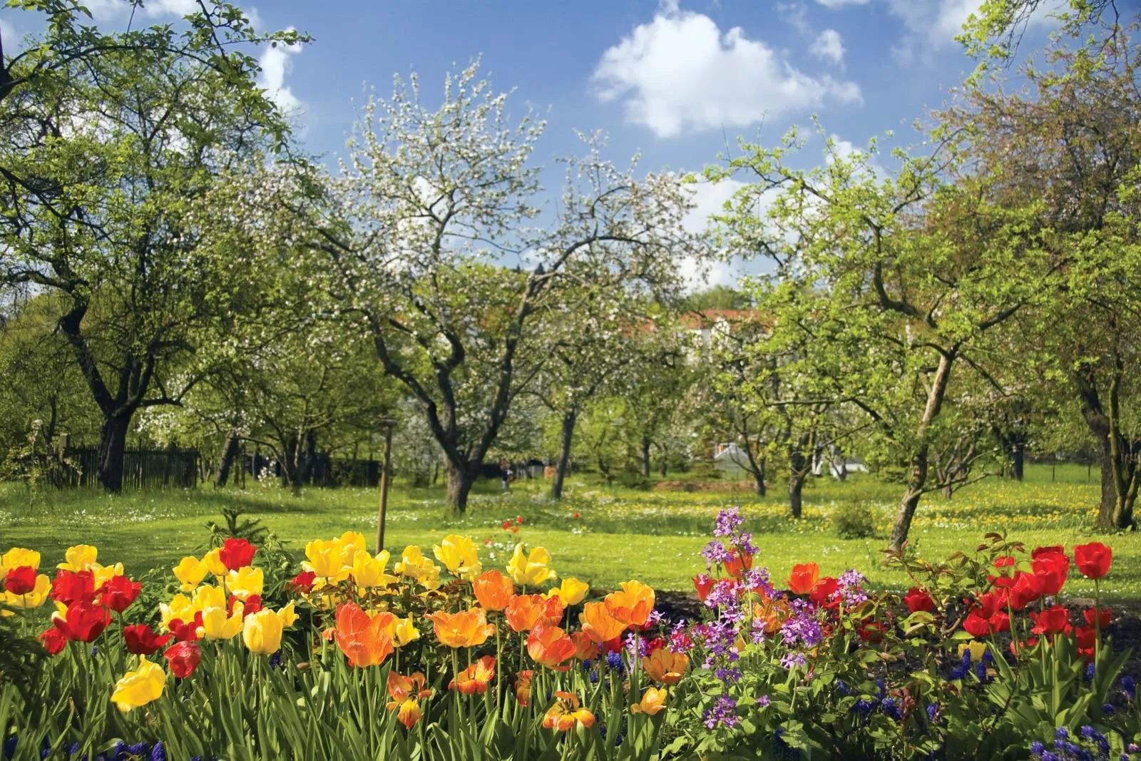 Spring Need Spring Spring Heat Surprises — And Why You’ll Need Chafing Remedies Like Thigh ...