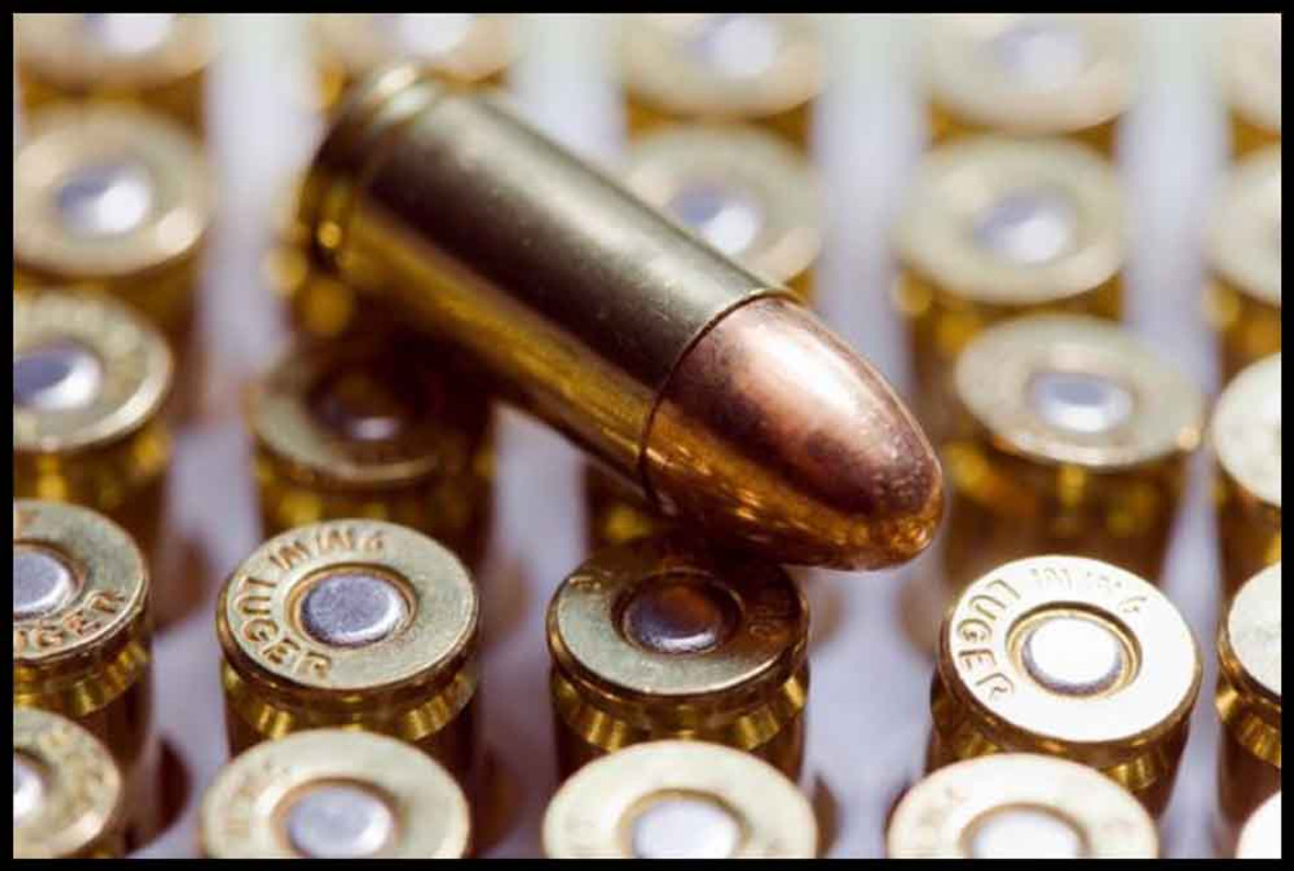 10 Best Places To Buy Ammo Online [2023] - SpiceTac