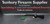 Steyr ProHunter SS 308WIN 24" 4rnd Mag Ex-Demo AU099
