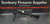 Remington 783 308WIN 20" Blued Compact Ex-Demo AX206 Burris scope Package A-449