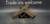 Stoeger STR-9FA RDO Ready Pistol 9mm 10rnd FDE Cerakote S/H AW330